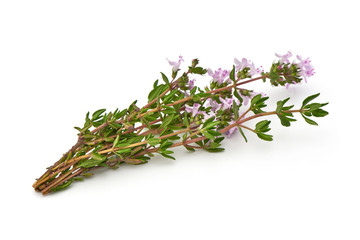 Fresh thyme sprigs, isolated on white background