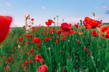 Beautiful woman in a poppy field holding a bouquet of poppies. g