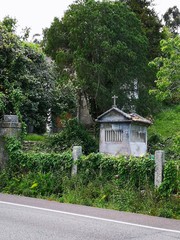 old house in park
