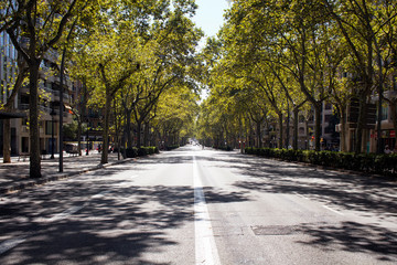 View of one of the main avenues called "Gran Via de les Corts Catalanes" in Barcelona. Trees and their shadows creates dramatic scene. It is a sunny summer day.