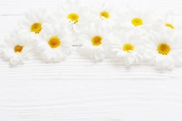 white chrysanthemum on white wooden background