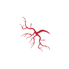 human veins, red blood vessels design and arteries Vector illustration isolated