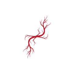 human veins, red blood vessels design and arteries Vector illustration isolated