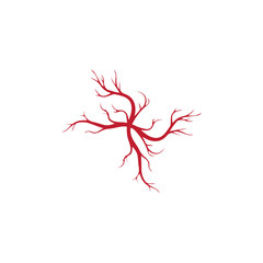 human veins, red blood vessels design and arteries Vector illustration isolated