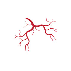 human veins, red blood vessels design and arteries Vector illustration isolated