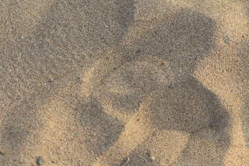 Sand of sea