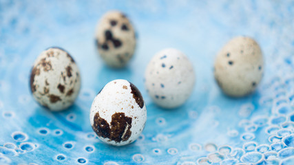 Fototapeta na wymiar Fresh quail eggs on the beautiful blue handmade plate. Cute alternative to chicken eggs