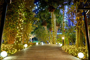 alley decorated with many lights in the park