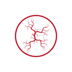 human veins, red blood vessels design and arteries Vector illustration isolated