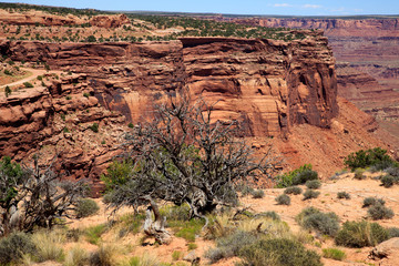 Utah / USA - August 11, 2015: Island In The Sky Canyolands National Park landscape, Utah, USA