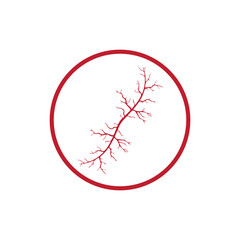 human veins, red blood vessels design and arteries Vector illustration isolated