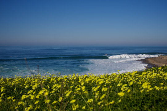 Coxos - Ericeira