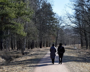 Two women walk in the Park on a Sunny day in early spring.