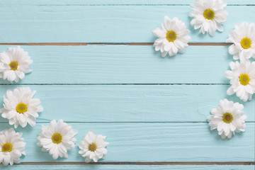 Obraz premium white chrysanthemum on blue wooden background