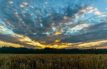 Beautiful sunset clours from golden to bluish