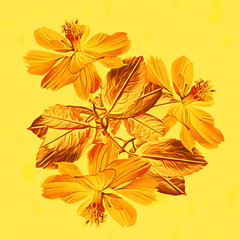 Floral background wiht leaves.