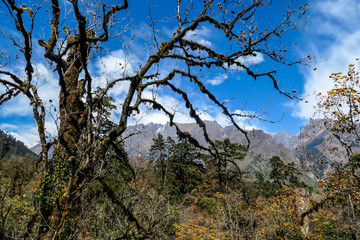Endless view on Himalayan chain from Chame, Annapurna Circuit Trek in Nepal. The mountains are shrouded in fog. There is a stream flowing at the bottom of the valley. A bit of overcast. Peace of mind