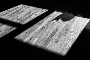Shadow of a cat on the window in black and white photo