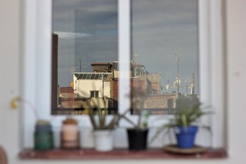 five multi-colored pots with different plants on the windowsill with buildings are reflected in the window