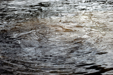 surface of water, sweden, stockholm, nacka