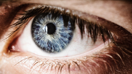close up of blue human eye