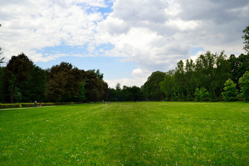 Fototapeta na wymiar Firenze, Le Cascine park. A wide green meadow surrounded by trees