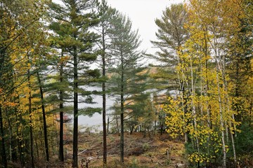 Fall At The Lake in The North Woods