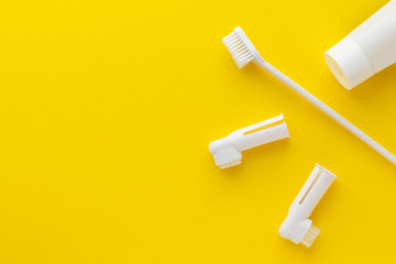 Toothbrushes and toothpaste tube for dogs and cats. Kit for pet dental care. Healthy tooths. Veterinary medicine and animal concept. Flat lay, top view with copy space.