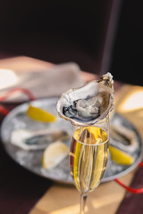Plate with oysters, lemon and ice