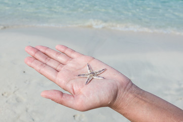A small starfish in a woman's hand on the background of the sea.