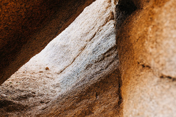 Desert Landscape