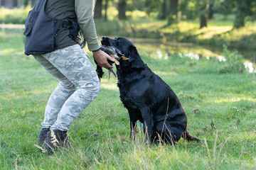 A black labrador dog fetching a duck for his owner and owner hunter accepting the offer
