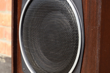Low frequency speaker of vintage Soviet acoustics. Dynamics 30gd-2