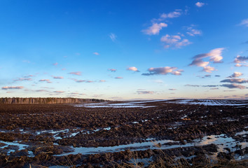 the spring of the Ural landscape with field and forest, Russia