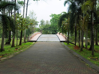 Empty walking paths in the city Park on the weekend. Quarantine mode