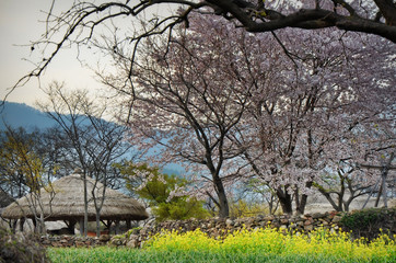 Fototapeta premium Naganeupseong Folk Village is located in Nagan-myeon, Suncheon, Jeollanam-do, South Korea. 04-07-2017