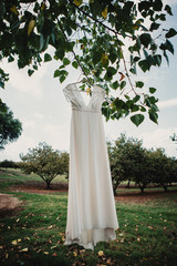 Vestido de novia colgado de un árbol