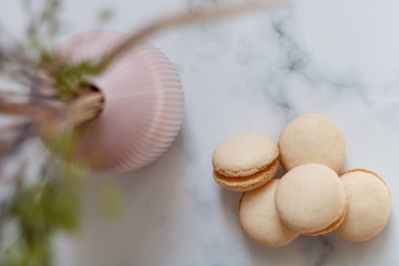 Close-up of macaroon on a light background. French dessert
