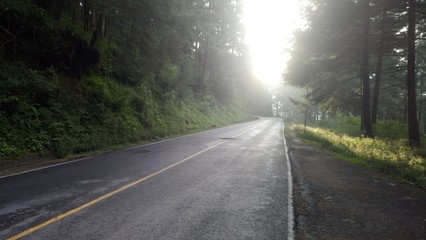 Tarde lluviosa en el bosque (In the camp, on forest)