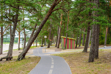 Bike path in a beautiful pine forest, Vosu village, Lahemaa nature Park, Estonia