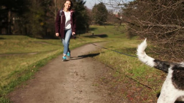 Dog on a leash runs ahead of the hostess along the road in the park. Lovely woman in a burgundy jacket and with a backpack behind her walks with her pet