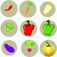 Fototapeta premium Different types of vegetables. Vector illustration. 