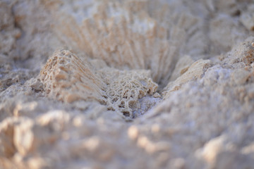 beautiful waves on the beach sharm el sheikh