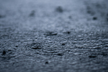 Rain