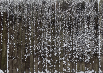 Winter landscape. The texture of the fence in the snow.
