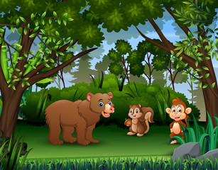 The various animals in the jungle