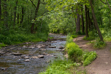 Baird Creek looking West on the Niagara Escarpment.