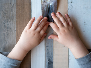 Funny little boy hands touches tail of large fish lying on table. concept of tactile sensations