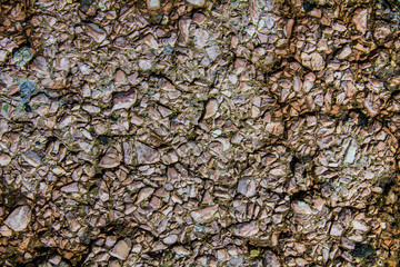 The texture of the stone.