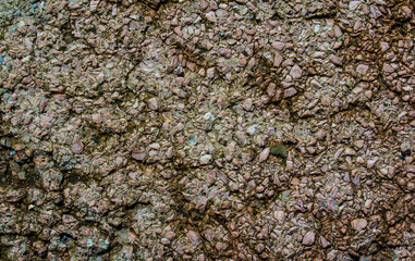 The texture of the stone.